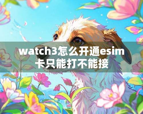 watch3怎么开通esim卡只能打不能接