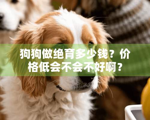 狗狗做绝育多少钱？价格低会不会不好啊？