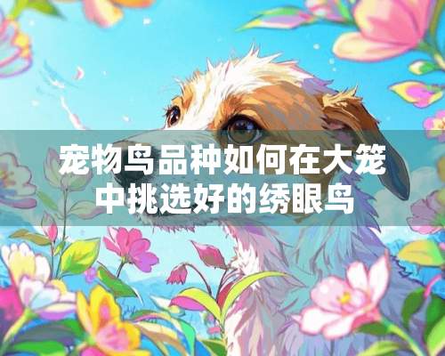 宠物鸟品种如何在大笼中挑选好的绣眼鸟