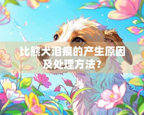 比熊犬泪痕的产生原因及处理方法？