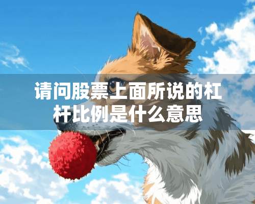 请问股票上面所说的杠杆比例是什么意思