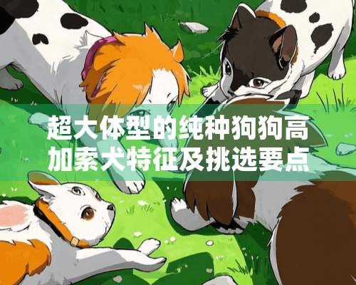 超大体型的纯种狗狗高加索犬特征及挑选要点