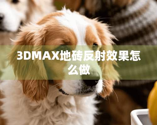 3DMAX地砖反射效果怎么做