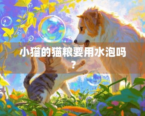 小猫的猫粮要用水泡吗？