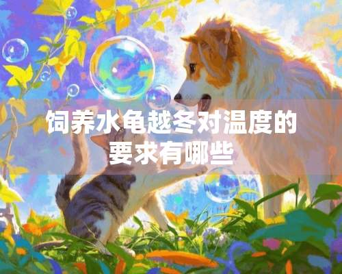 饲养水龟越冬对温度的要求有哪些