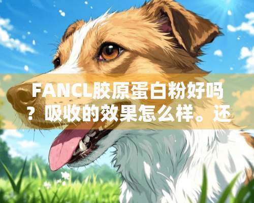 FANCL胶原蛋**好吗？吸收的效果怎么样。还有那个牌子的好？