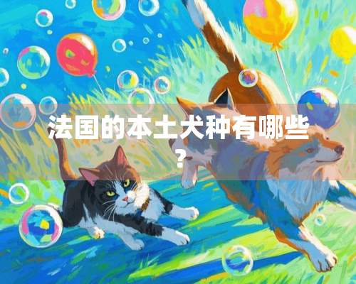 法国的本土犬种有哪些？