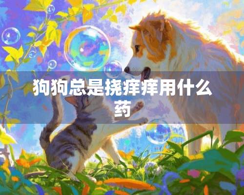 狗狗总是挠痒痒用什么药