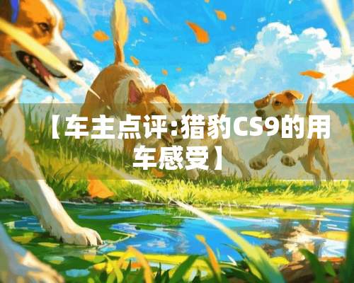 【车主点评:**CS9的用车感受】