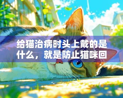 给猫治病时头上戴的是什么，就是防止猫咪回头咬你的时候脖子上带的圆形的东东。