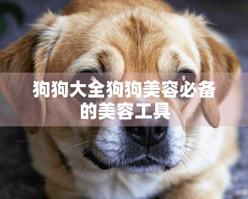 狗狗大全狗狗美容必备的美容工具