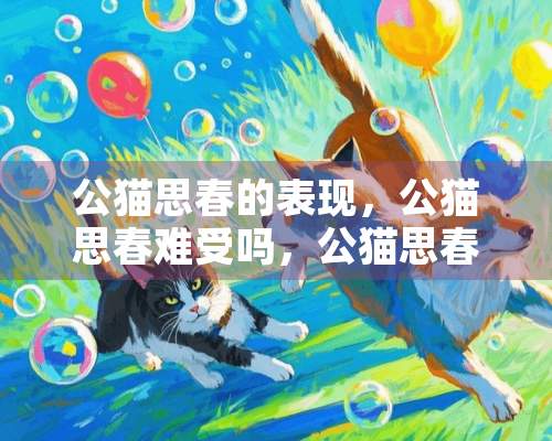 公猫思春的表现，公猫思春难受吗，公猫思春几天