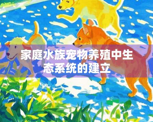 家庭水族宠物养殖中生态系统的建立