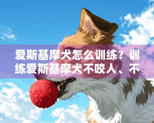 爱斯基摩犬怎么训练？训练爱斯基摩犬不咬人、不乱叫的方法介绍！