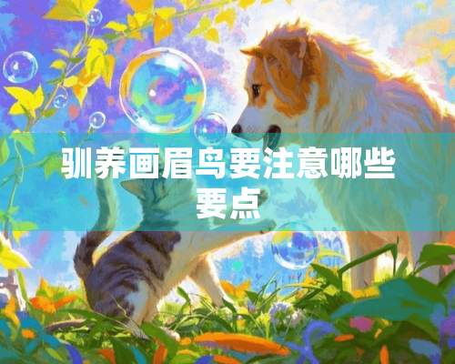 驯养画眉鸟要注意哪些要点