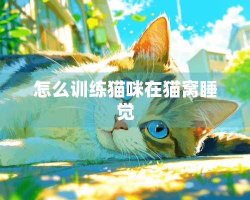 怎么训练猫咪在猫窝睡觉