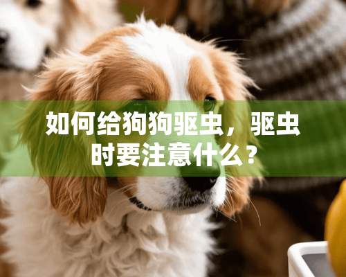 如何给狗狗驱虫，驱虫时要注意什么？