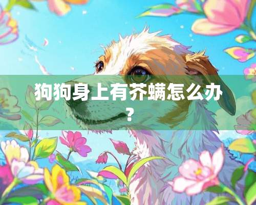 狗狗身上有芥螨怎么办？