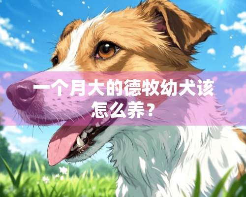 一个月大的德牧幼犬该怎么养？