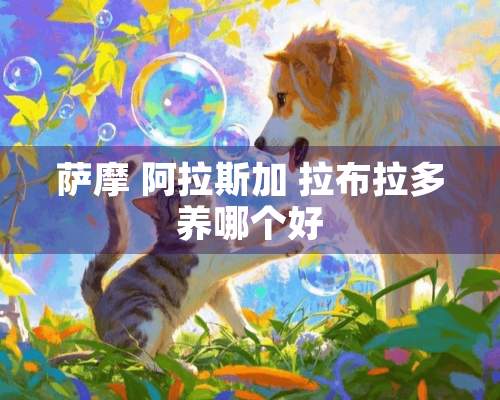 萨摩 阿拉斯加 拉布拉多养哪个好