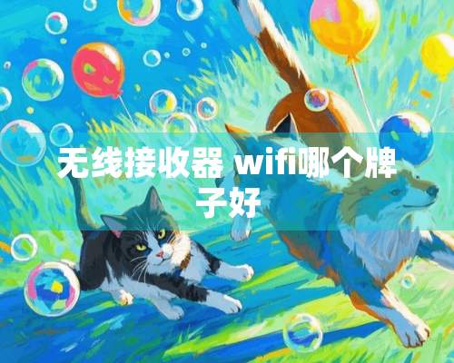 无线*** wifi哪个牌子好