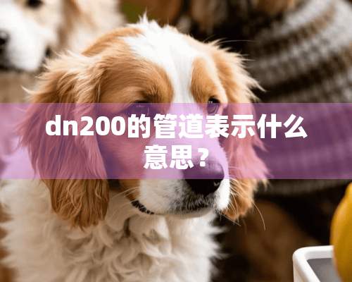 dn200的管道表示什么意思？