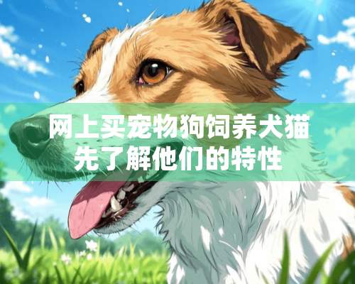 网上买宠物狗饲养犬猫先了解他们的特性