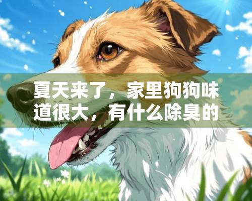 夏天来了，家里狗狗味道很大，有什么除臭的方法？