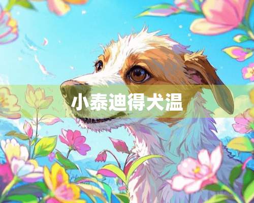 小泰迪得犬温