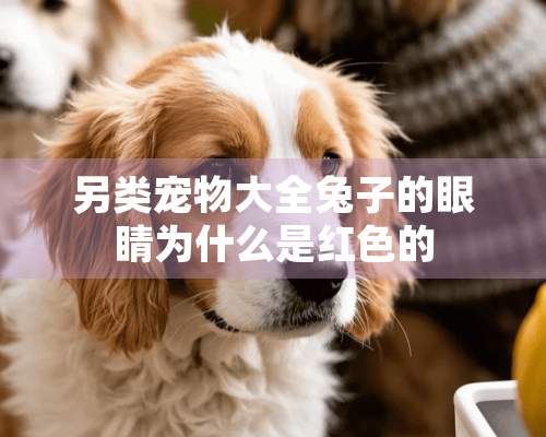 另类宠物大全兔子的眼睛为什么是红色的