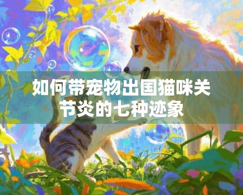 如何带宠物出国猫咪关节炎的七种迹象