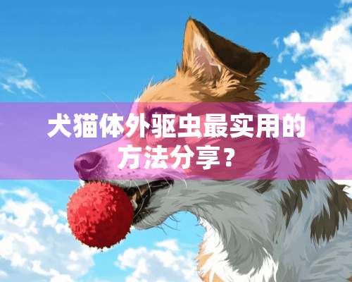 犬猫体外驱虫最实用的方法分享？