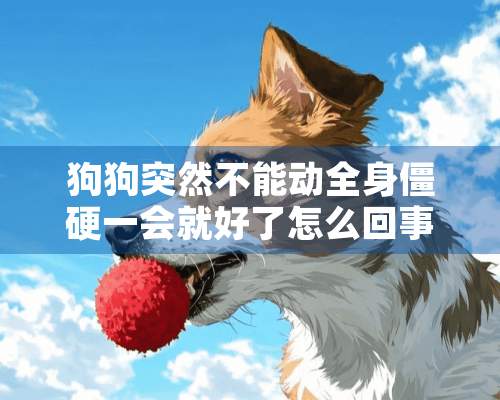 狗狗突然不能动全身僵硬一会就好了怎么回事