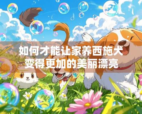 如何才能让家养西施犬变得更加的美丽漂亮