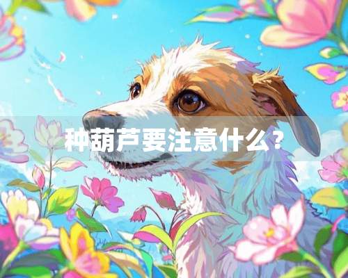 种葫芦要注意什么？