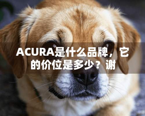 ACURA是什么品牌，它的价位是多少？谢