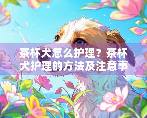 茶杯犬怎么护理？茶杯犬护理的方法及注意事项