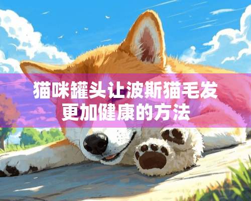 猫咪罐头让波斯猫毛发更加健康的方法