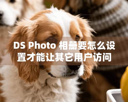 DS Photo 相册要怎么设置才能让其它用户访问