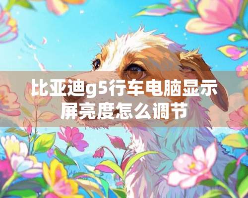 比亚迪g5行车电脑显示屏亮度怎么调节