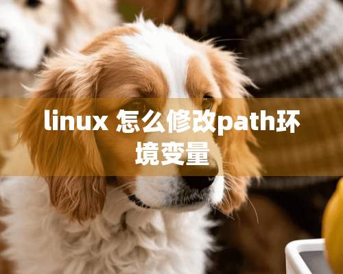 linux 怎么修改path环境变量