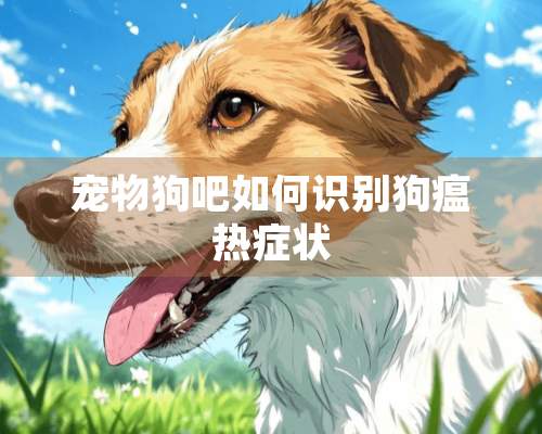 宠物狗吧如何识别狗瘟热症状