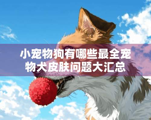 小宠物狗有哪些最全宠物犬皮肤问题大汇总