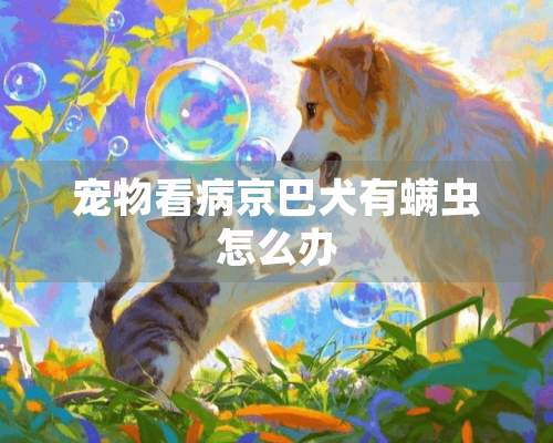 宠物看病京巴犬有螨虫怎么办