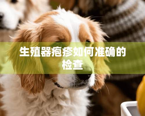 生殖器疱疹如何准确的检查