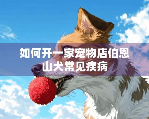 如何开一家宠物店伯恩山犬常见疾病