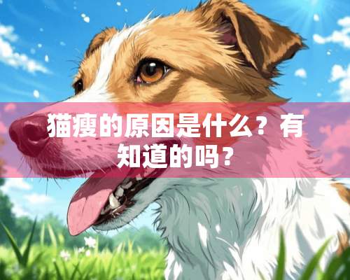 猫瘦的原因是什么？有知道的吗？