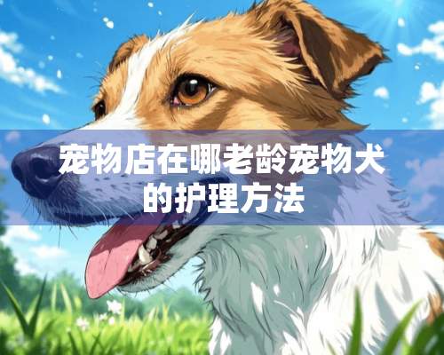 宠物店在哪老龄宠物犬的护理方法