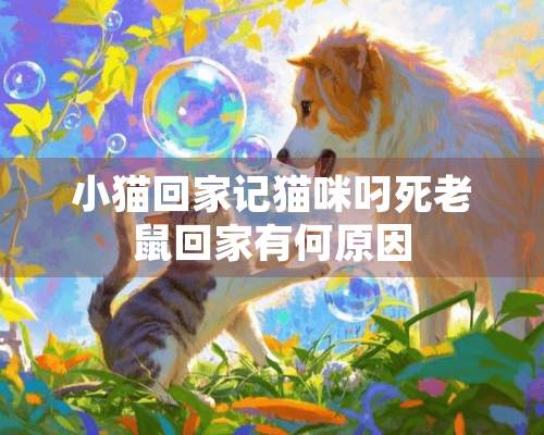 小猫回家记猫咪叼死老鼠回家有何原因