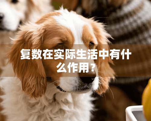 复数在实际生活中有什么作用？